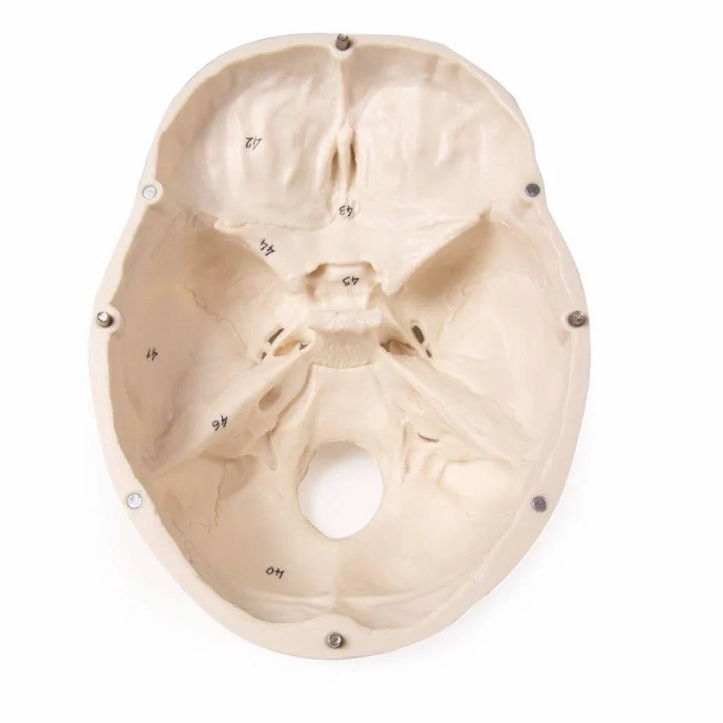 HODESKALLE 3-delt m/nummerering 4505