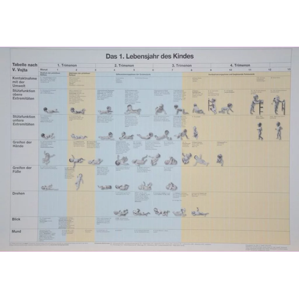 PLAKAT "Barnets første leveår"  Tysk tekst (82x60 cm)