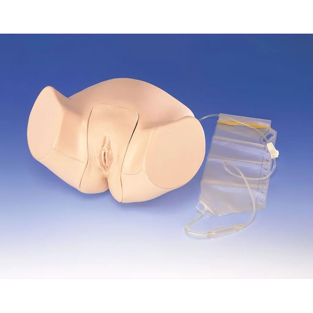 Kateteriseringsmodell, kvinne LM 61