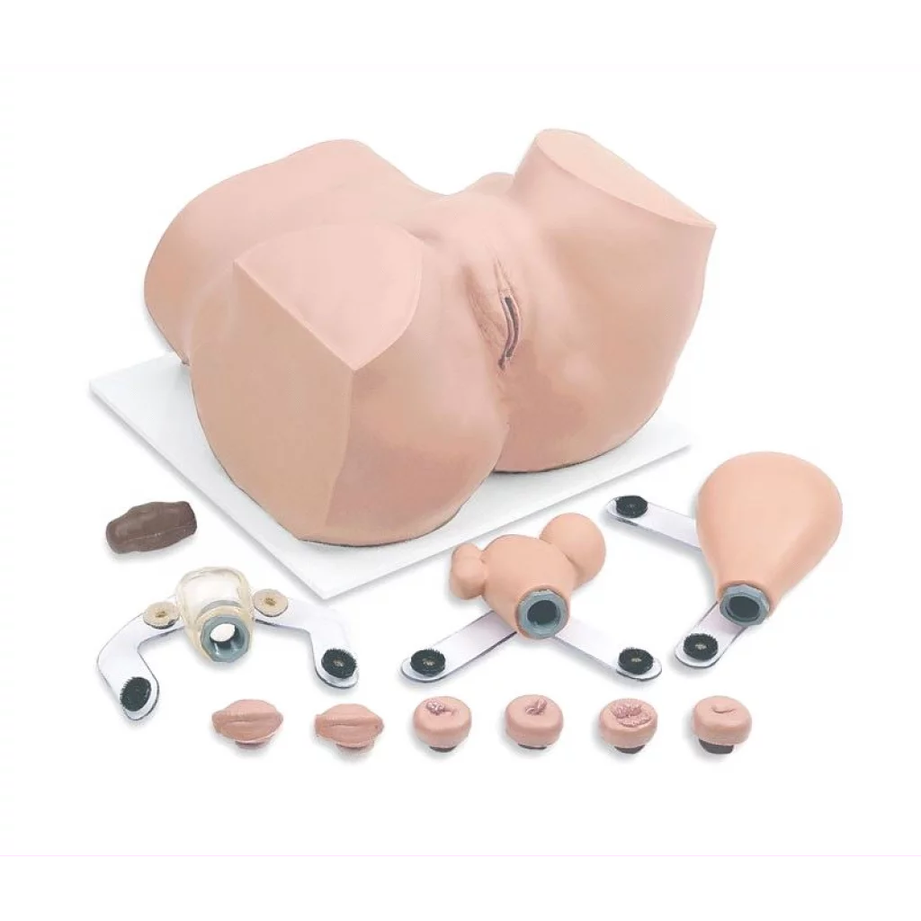 Gynekologisk undersøkelsesmodell R10182