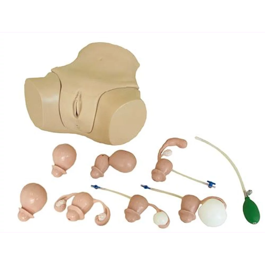 Gynekologisk undersøkelsesmodell LM110  ( Erstatter  LM50)