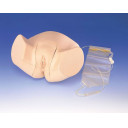 kateteriseringsmodell-kvinne-lm-61