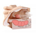 kateteriseringsmodell-mann-og-enema-simulator-lm109