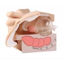 kateteriseringsmodell-mann-og-enema-simulator-lm109