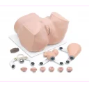 gynekologisk-undersokelsesmodell-r10182