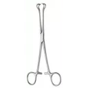 fattetang-babcock-23cm