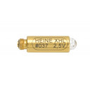 pare-heine-xhl-037-2-5v-beta-100-diagnostisk-alpha-otoskop-x-001.88.037