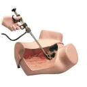 gynekologisk-simulator-r10940