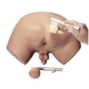 prostate-examination-simulator-r10031