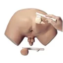 prostate-examination-simulator-r10031