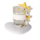 skiveprolaps-simulator-2x-forstorrelse-4400