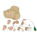 gynekologisk-undersokelsesmodell-lm110-erstatter-lm50