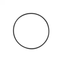 o-ring-til-kontaktplate-til-dermatoskop-heine-delta-30-k-000.34.123